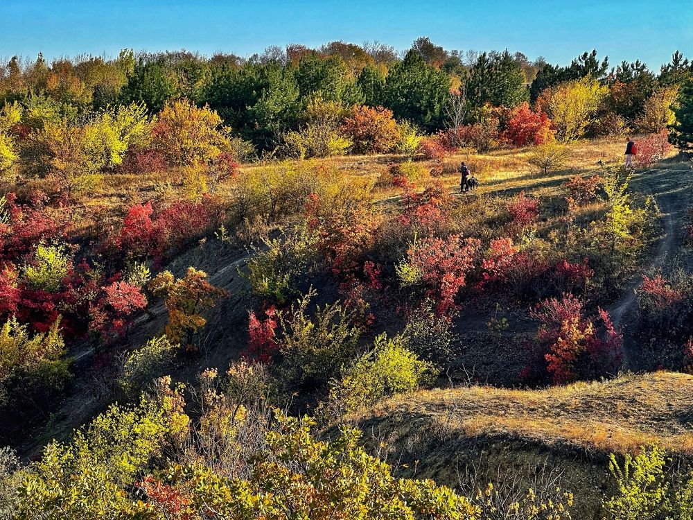 Photograph by Валентина Спиридонова