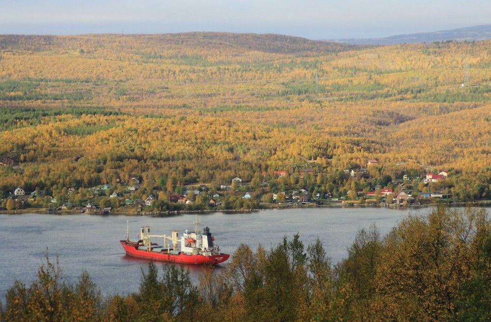 Фотография автора Светлана Терехова