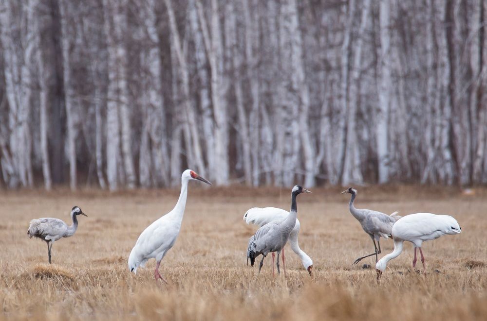 Photograph by Попов Альберт