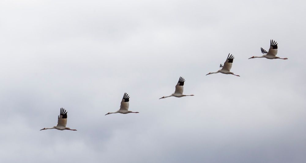 Photograph by Попов Альберт