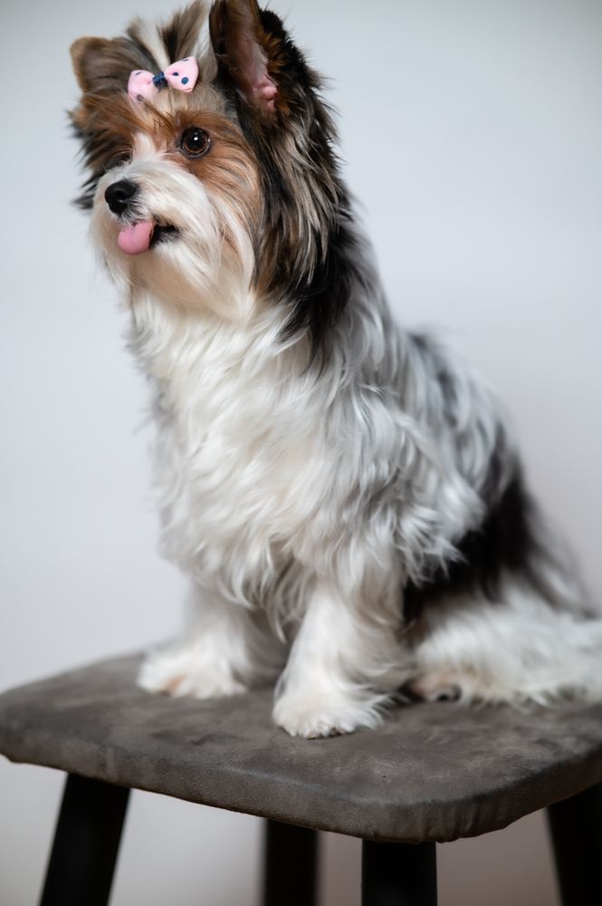 Photograph by Виталий Кураков