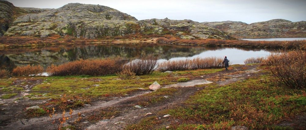 Фотография автора Светлана Терехова