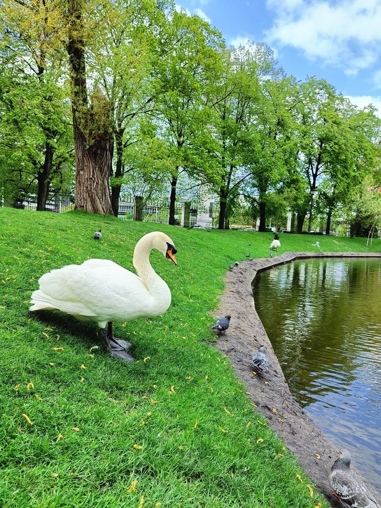 Photograph by Карина Слабкая