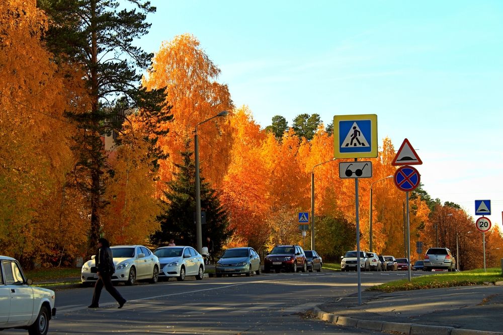 Photograph by эдуард петруша