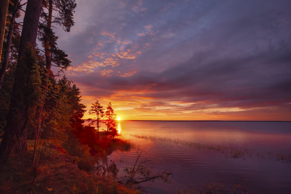 Photograph by Васенков Геннадий