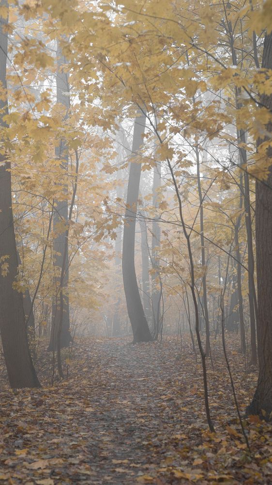 Photograph by Elena V