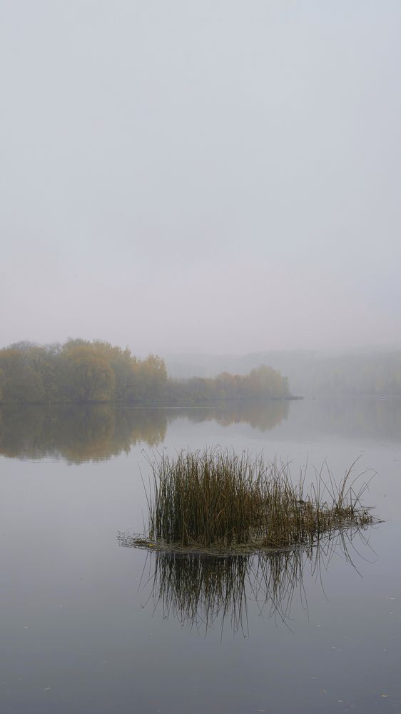 Photograph by Elena V