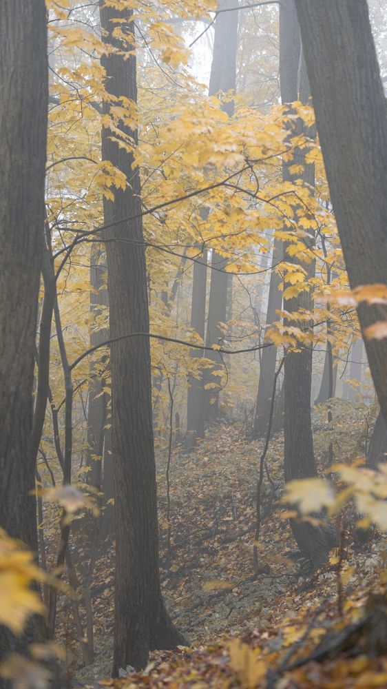 Photograph by Elena V