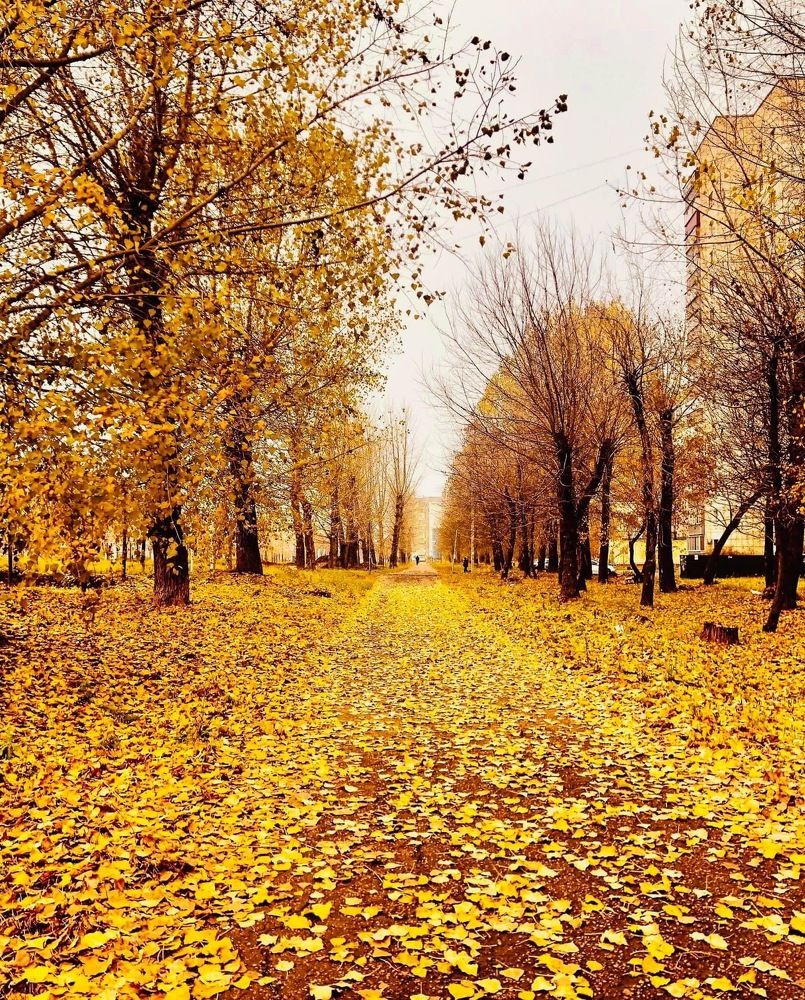 Photograph by Виталий Головащенко