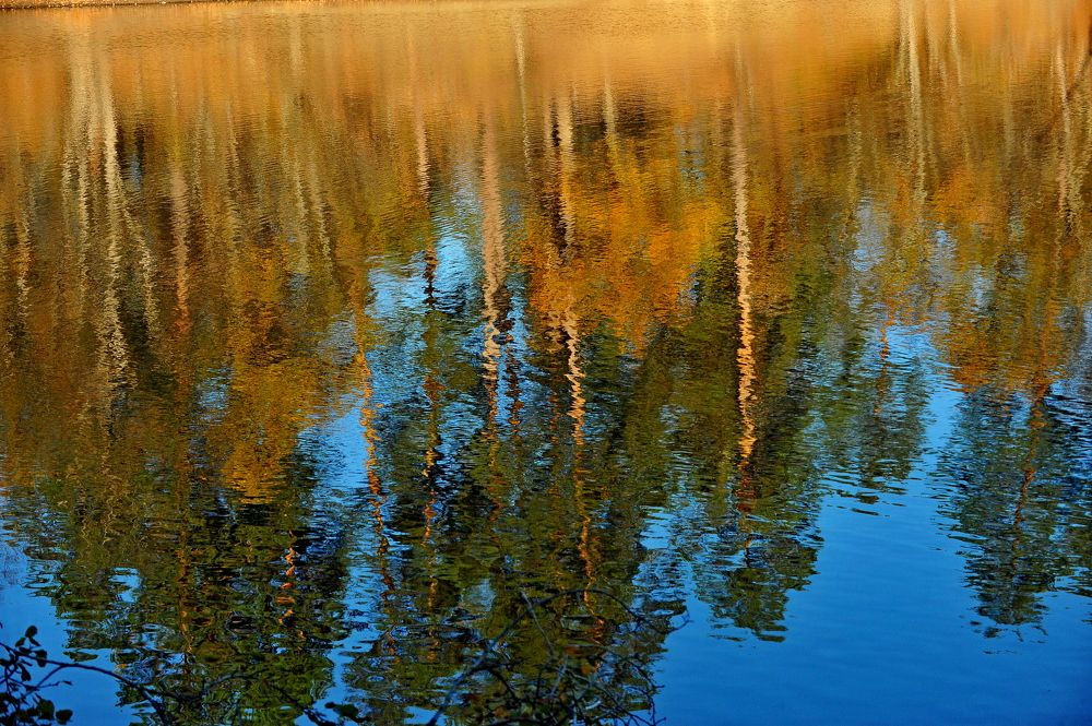 Photograph by Алексей Volg