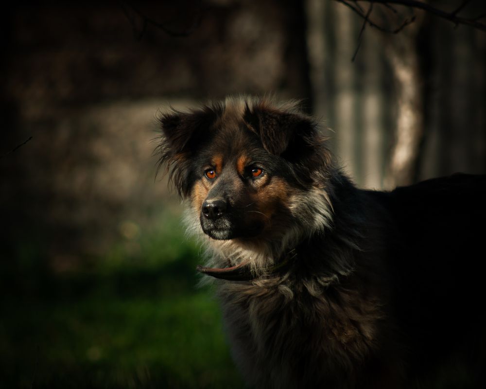 Photograph by Hamlet Loryan