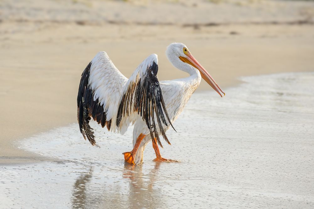 Photograph by Вячеслав Белов