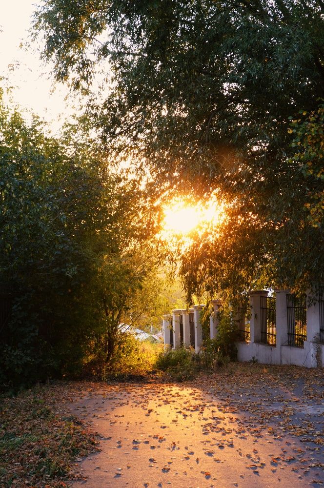 Осень в старом парке