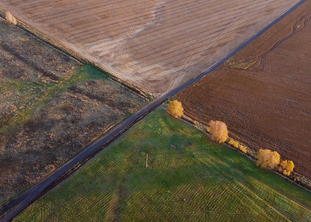 Photograph by Сергей Дудаков