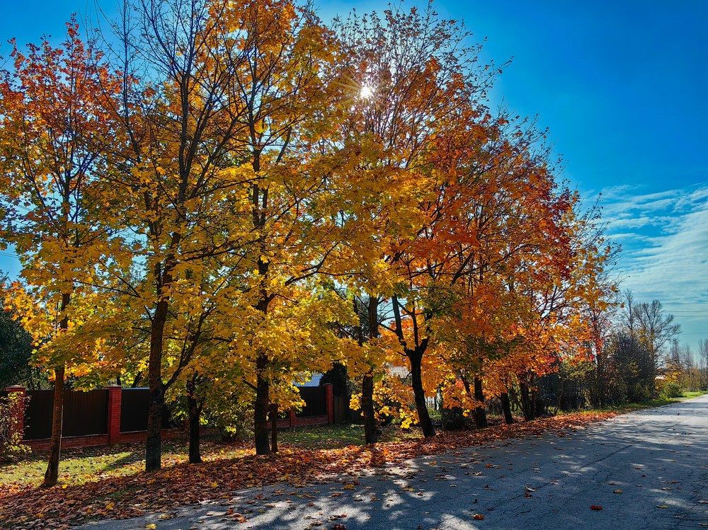 Photograph by Сергей Игнатьев