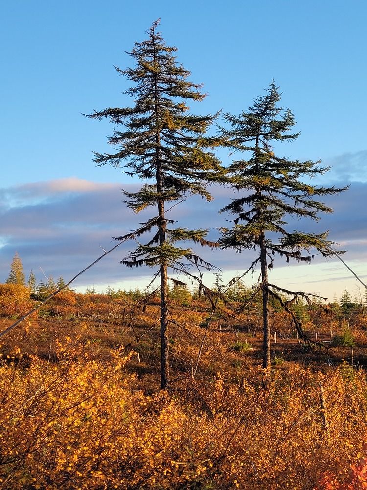 Фотография автора Казакова Людмила Ивановна