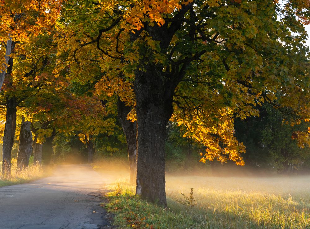 Photograph by Agita Leimane