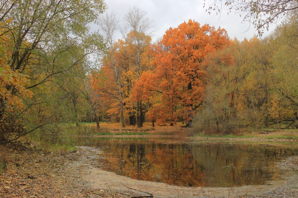 Photograph by Вячеслав Атаманов