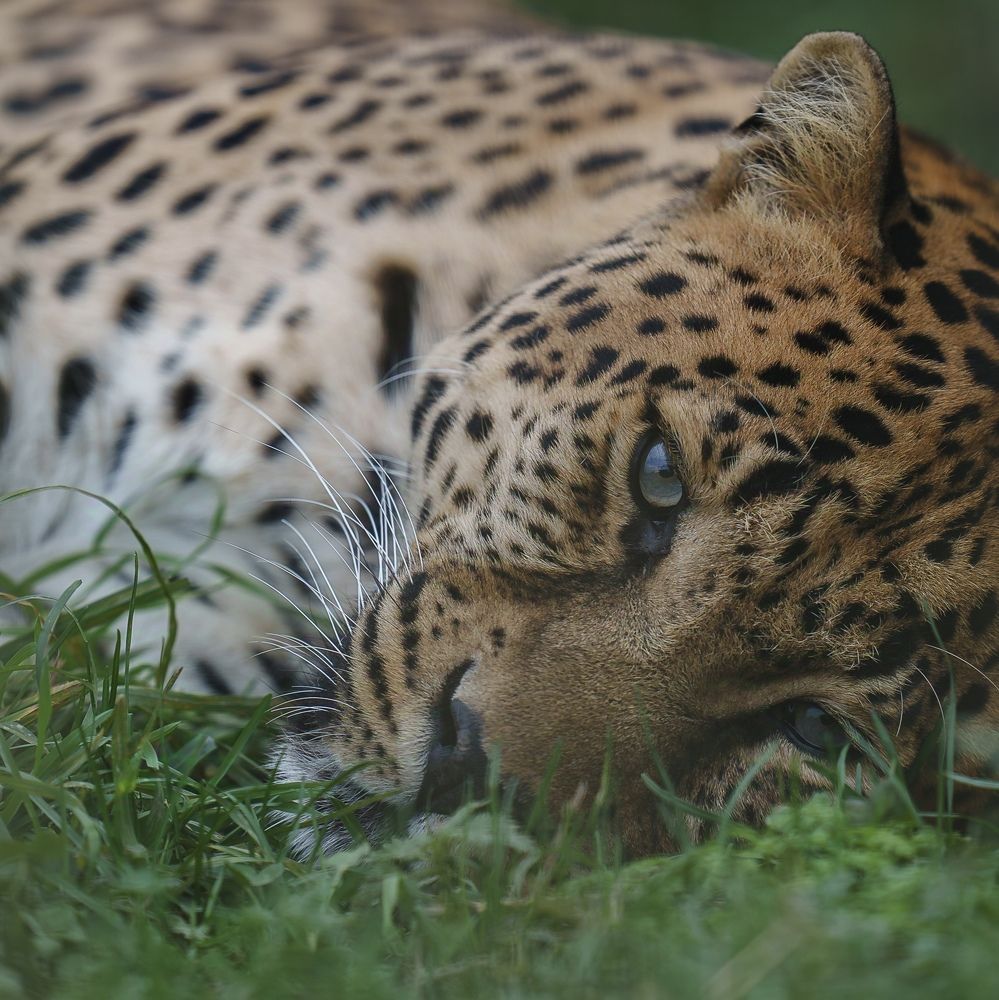 Photograph by Данил Шауба