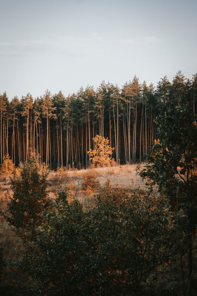 Photograph by Денис Мазычев