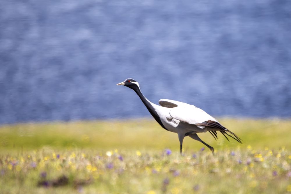 Photograph by Сергей Дудаков
