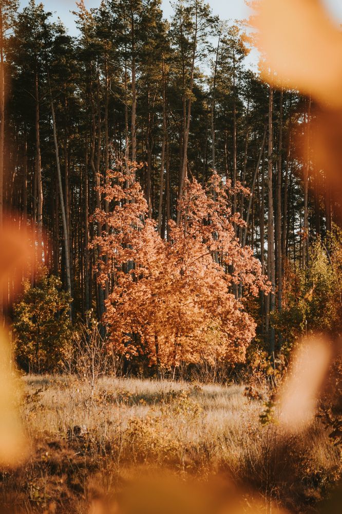 Photograph by Денис Мазычев