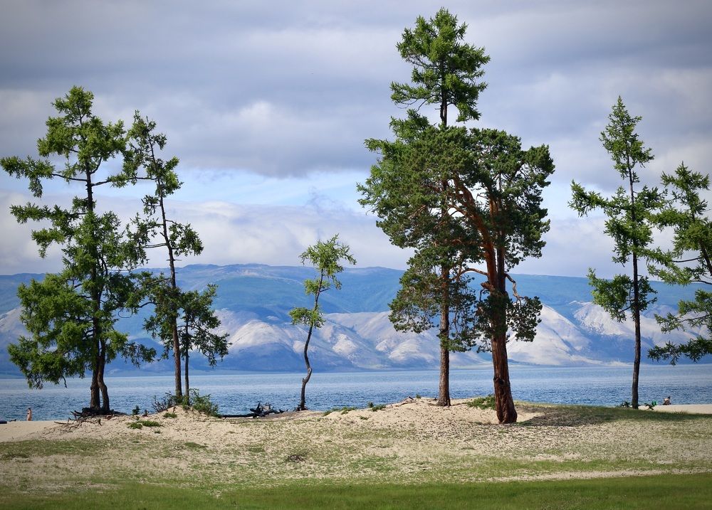 Photograph by ЗОЯ МЕДВЕДЕВА