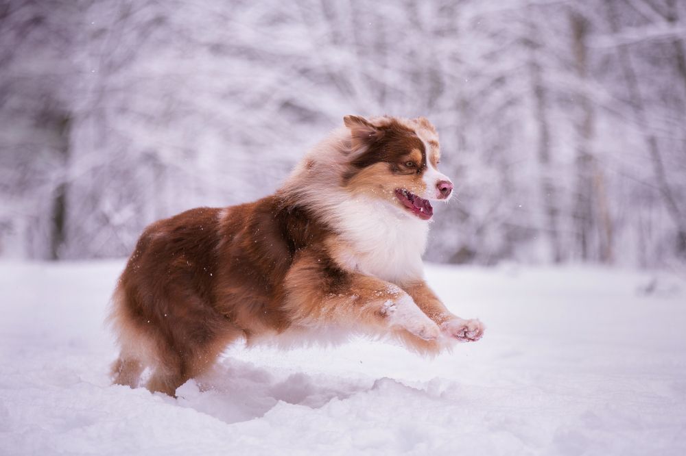 Photograph by Margarita  Davydova