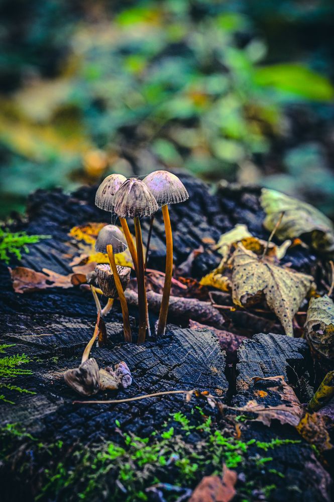 Photograph by Алексей