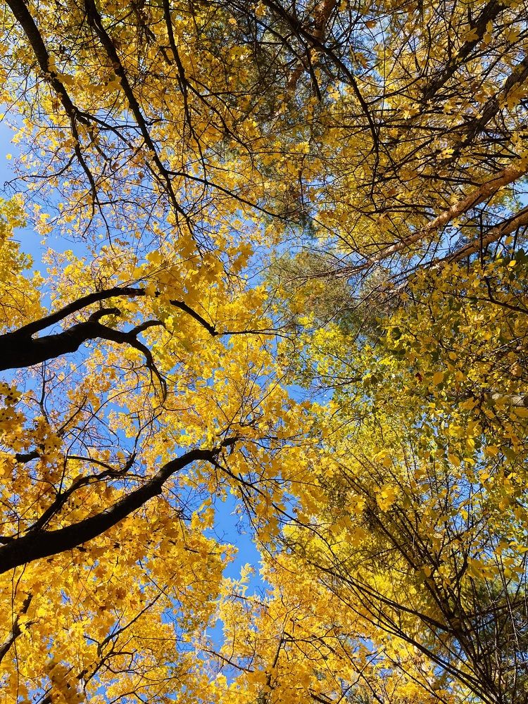 Photograph by Алексей