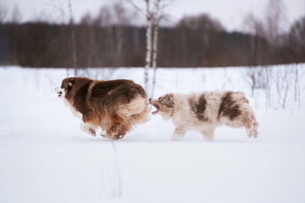 Photograph by Margarita  Davydova