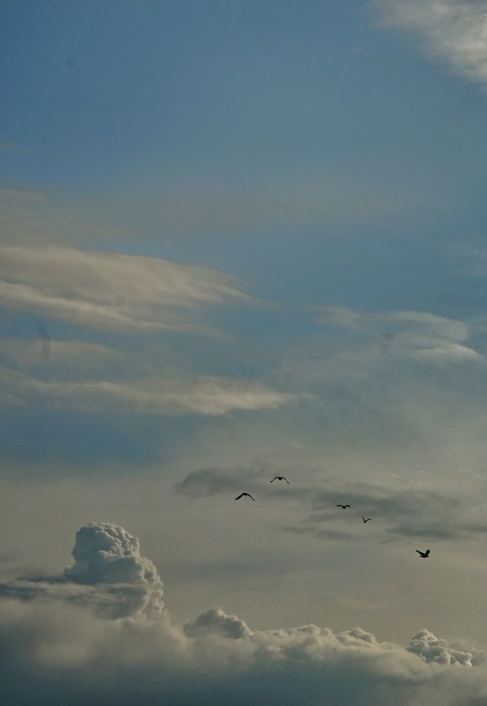 Photograph by Алевтина