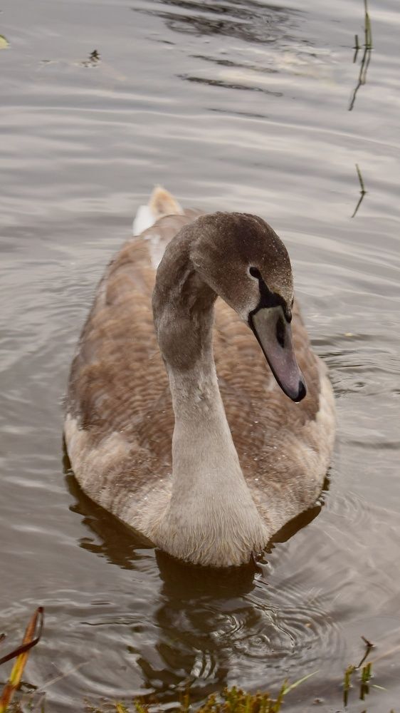 Photograph by Inna Klimaševska