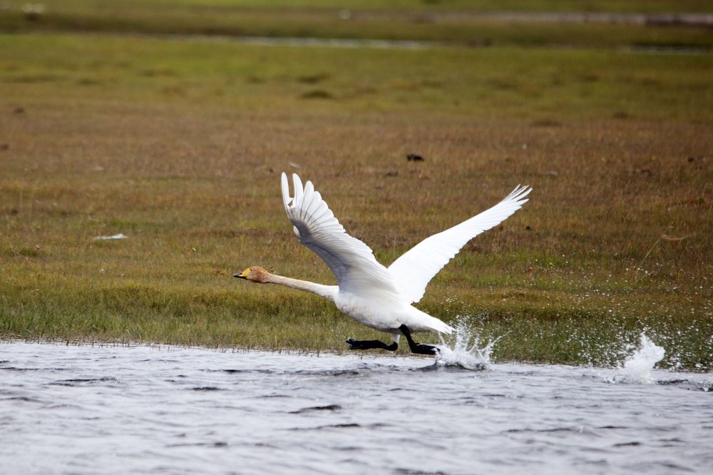 Photograph by Сергей Дудаков