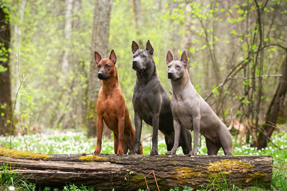 Photograph by Margarita  Davydova