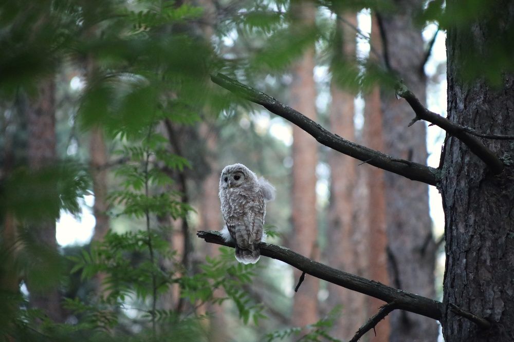 Photograph by Елизавета Субботина