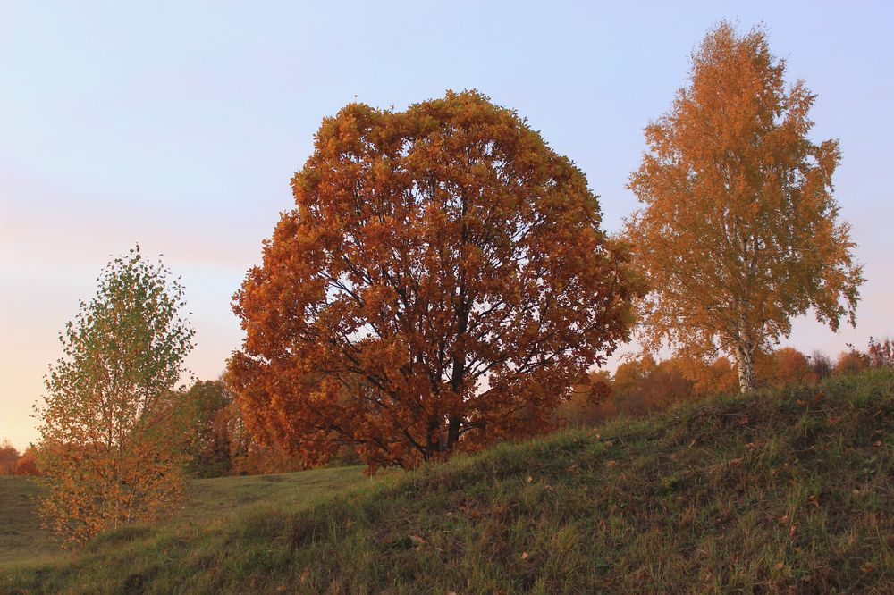 Photograph by Вячеслав Атаманов