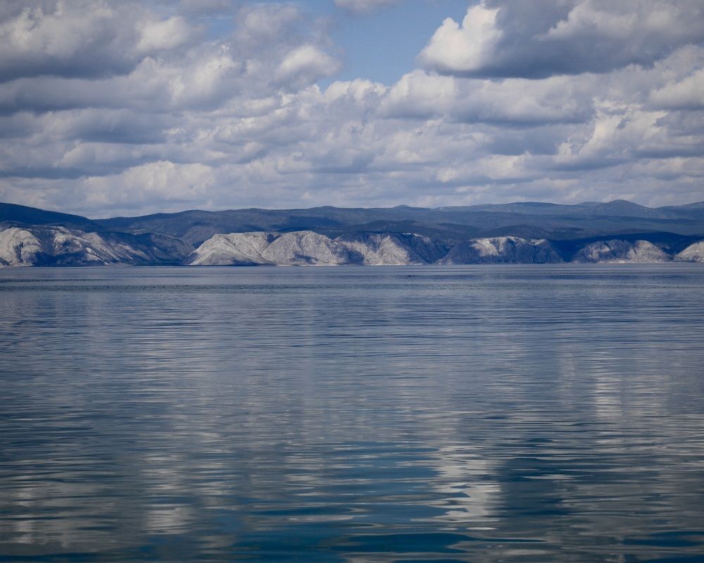 Photograph by ЗОЯ МЕДВЕДЕВА