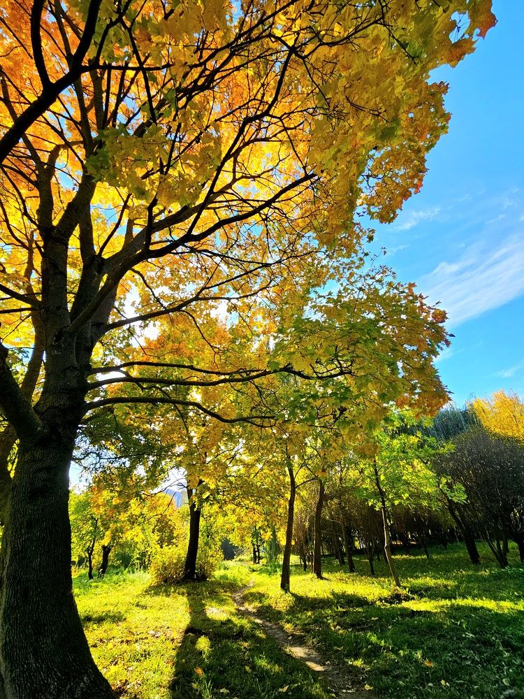 Photograph by Наталья Пагоцкая