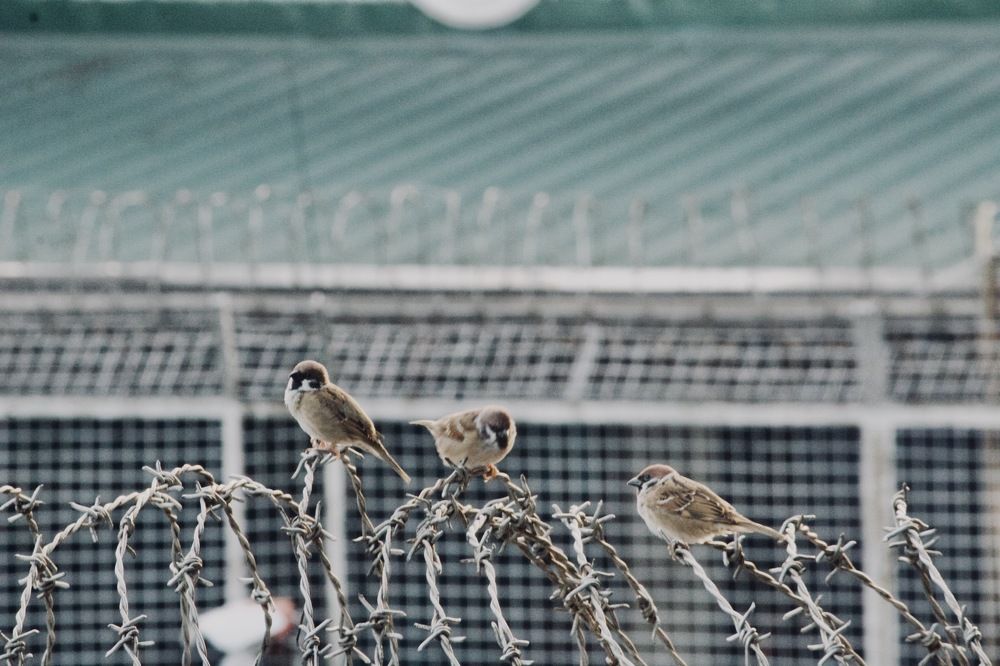 Photograph by Sr. Ma. Jenny Mhy-sy Yasa