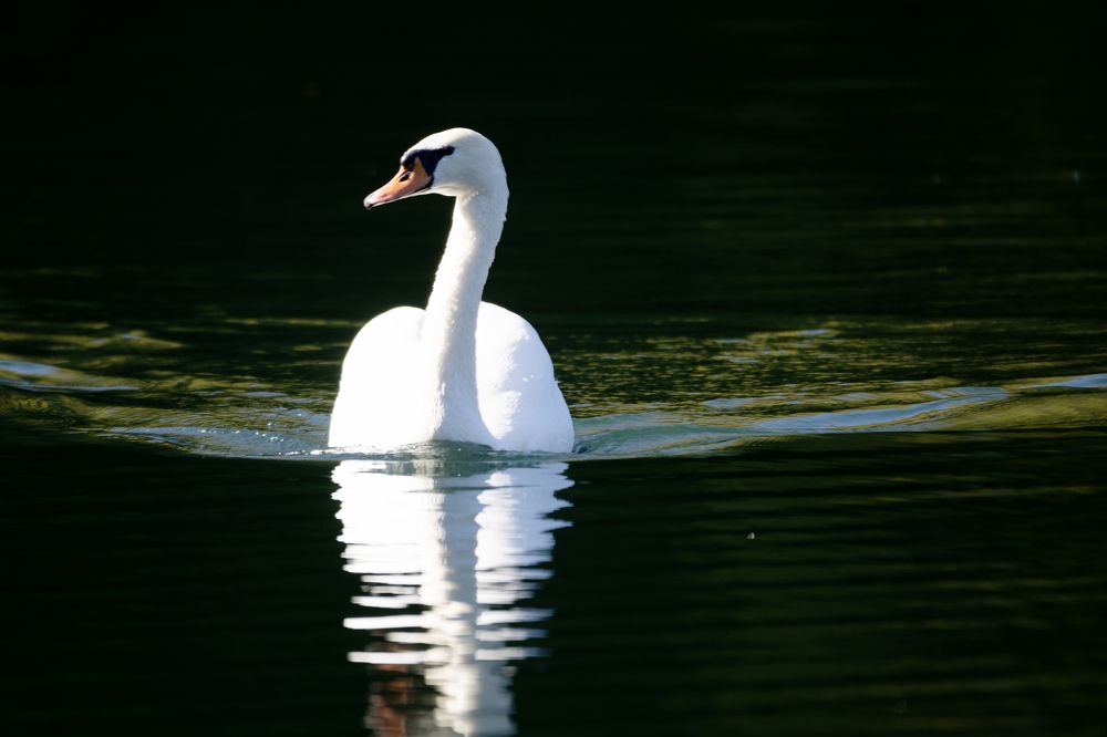 Photograph by Сергей Дудаков