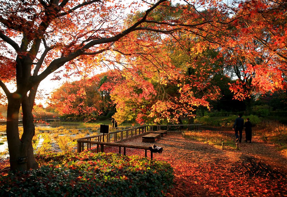 Фотография автора Nikolay Suglobov