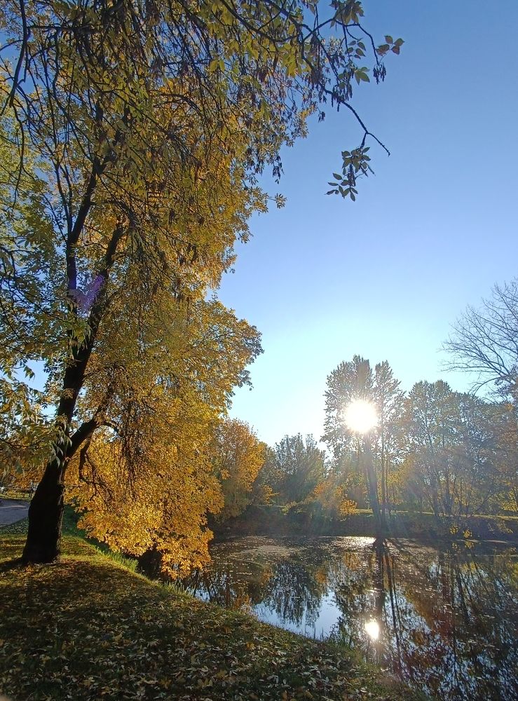 Photograph by Olga Kot