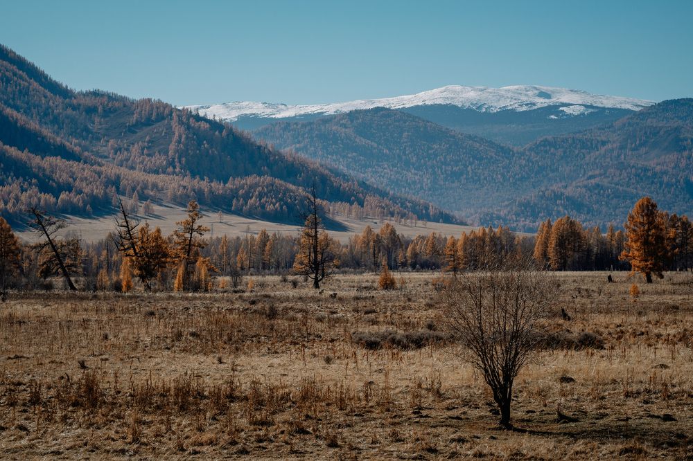 Photograph by Надежда Рачева