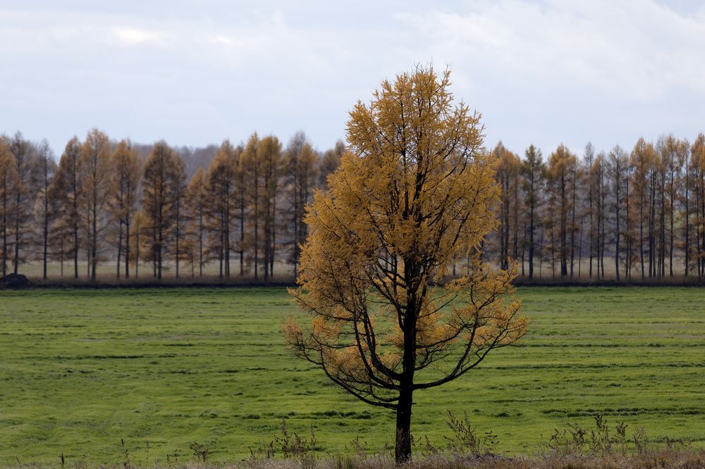 Photograph by Сергей Дудаков