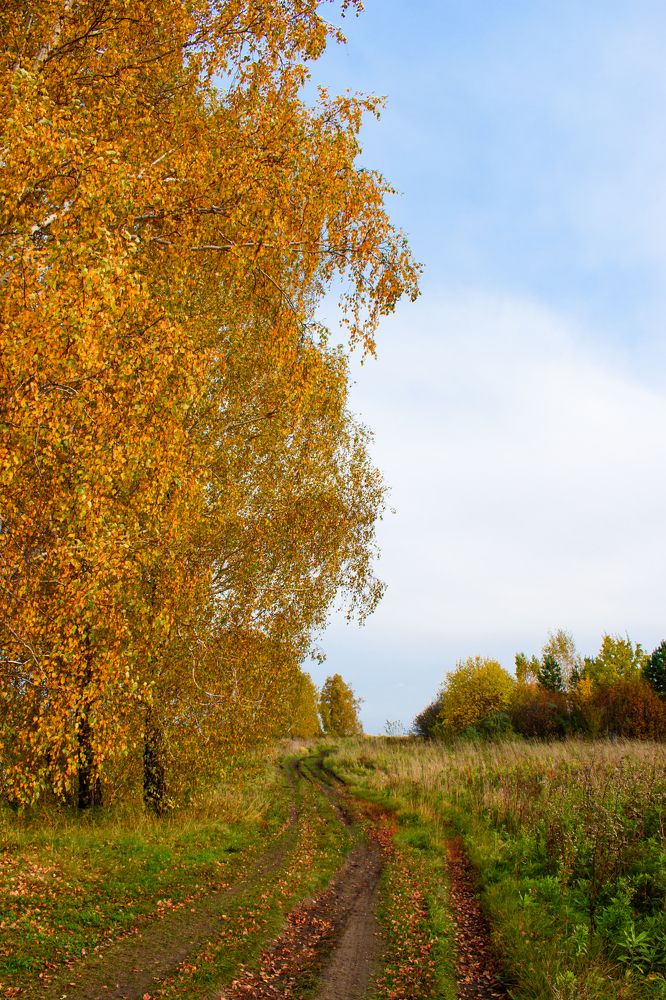 Photograph by Ирина Корнева