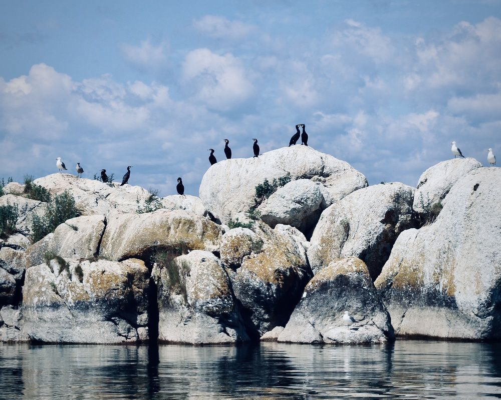 Photograph by ЗОЯ МЕДВЕДЕВА