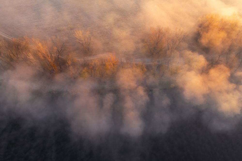 Photograph by Михаил Харитонычев