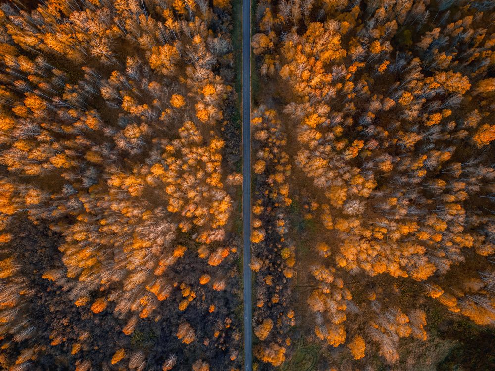 Photograph by Михаил Харитонычев