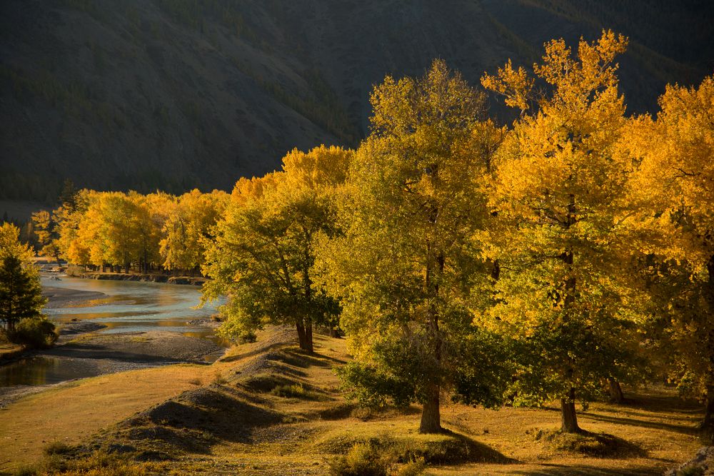 Photograph by Марина Корреа Ластра